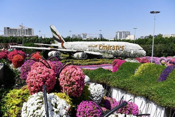 Model Emirates A380, v Dubai Miracle Garden, 150 miliónov prírodných kvetov