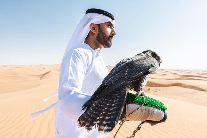 Emirátsky lovec držiaci sokola na ruke v púšti.