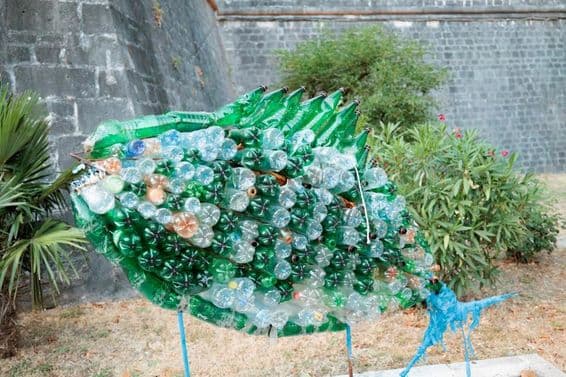 Ryba zlepená z plastových fliaš.