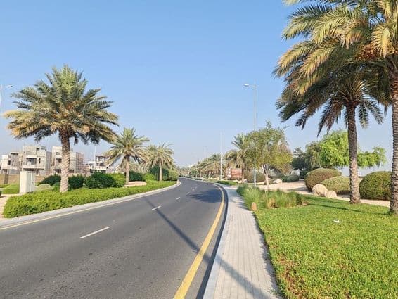 Dubajská cesta s palmami a zelenou trávou.