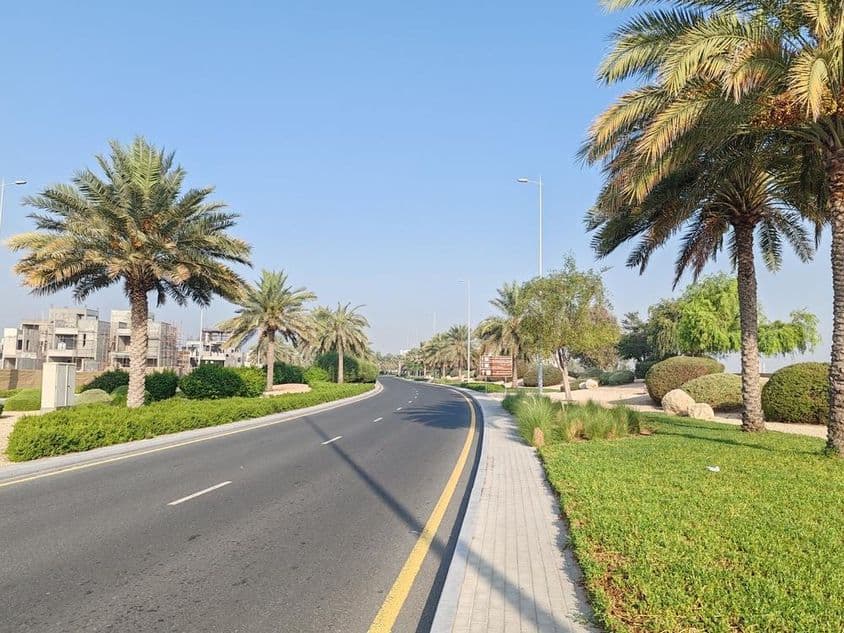 Dubajská cesta s palmami a zelenou trávou.
