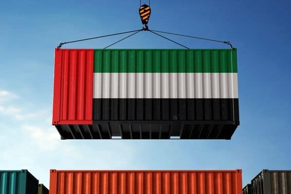 Žeriav dvíhajúci kontajner namaľovaný vo farbách vlajky SAE.