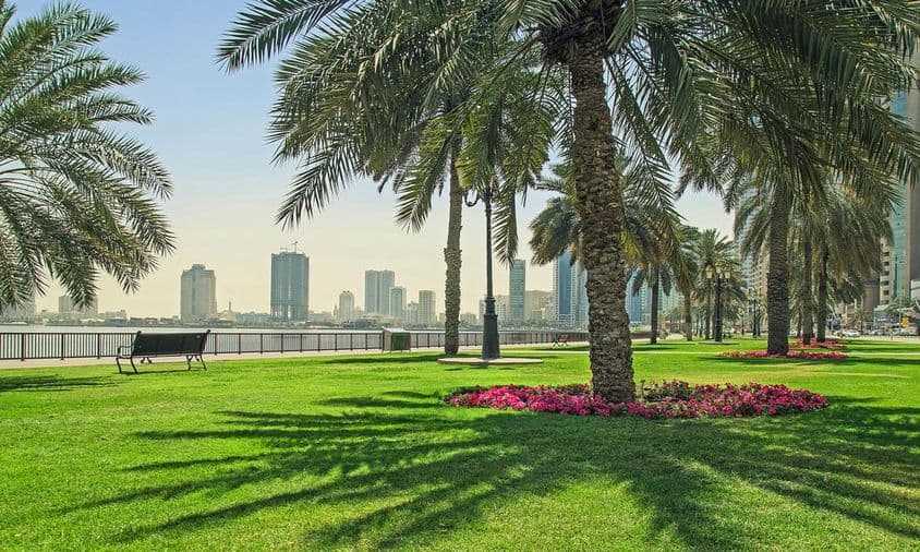 Zelený trávnik pri brehu v Sharjah.