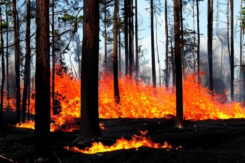 Požiar prebieha v Los Angeles, Malibu, USA.