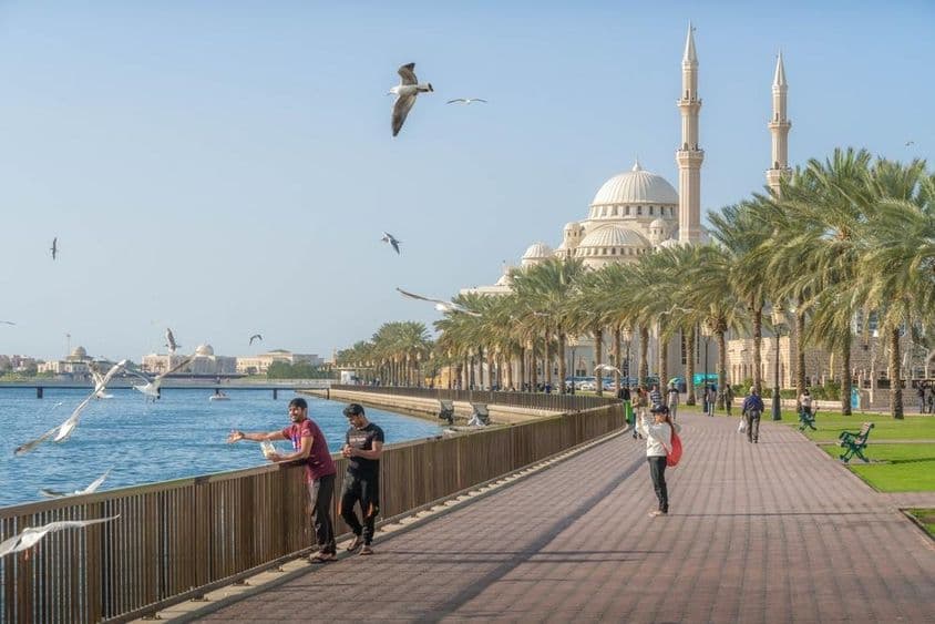 Sharjah s mešitou Al Noor, Khalid Lagoon a Perzským zálivom, s palmami a pohľadom na mesto.