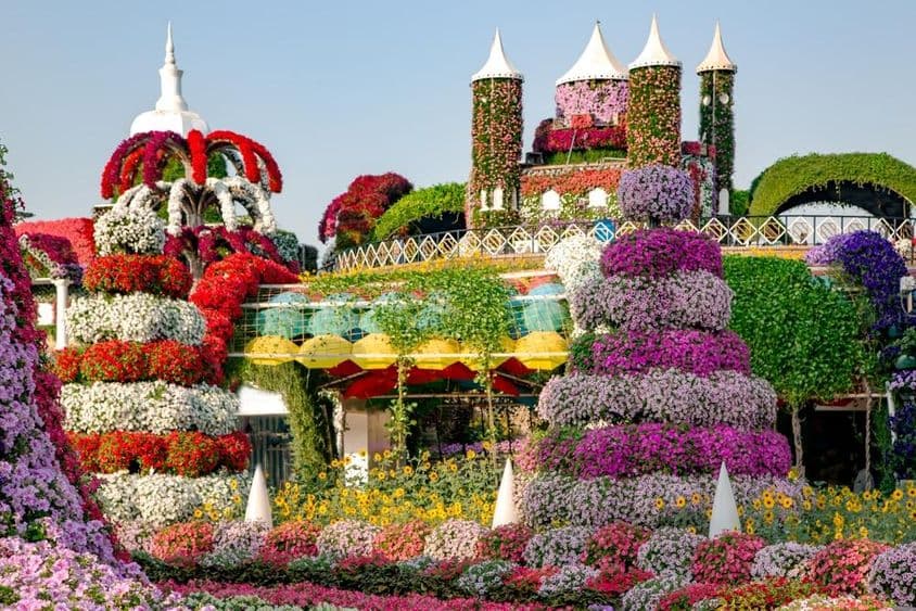 Dubaj Miracle Garden predstavuje rozprávkové hrady a viac ako 45 miliónov kvetov.