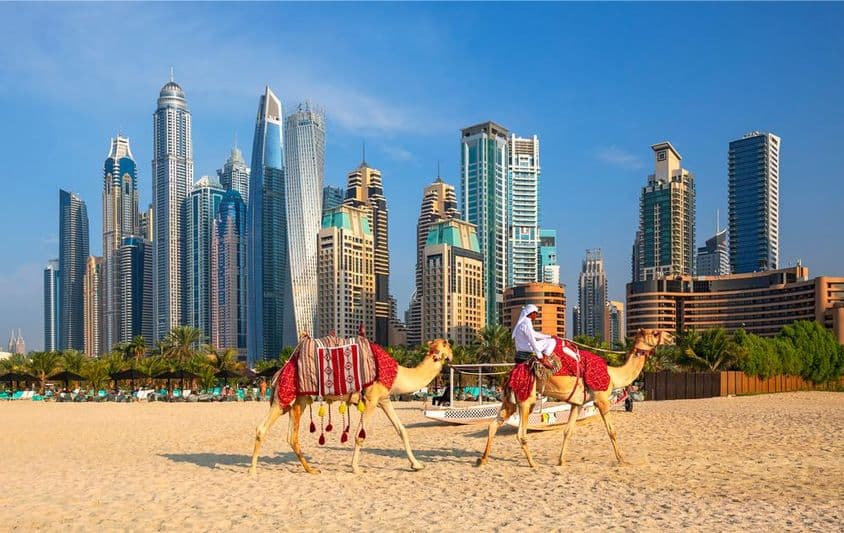 Pohľad na Dubaj Marina, ťavy a slávnu pláž Jumeirah v Dubaji.