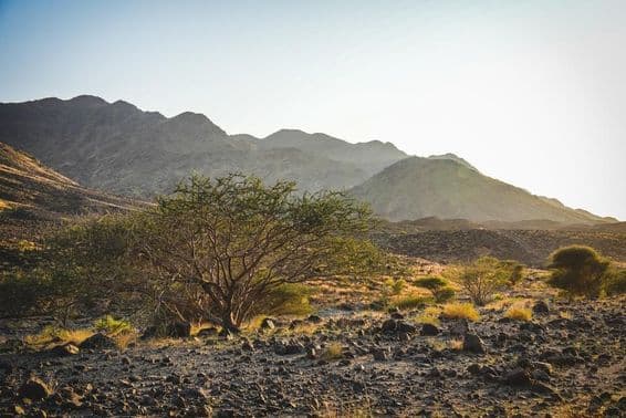 Drsný terén Waadi Shawka v Ras Al Khaimah so skalnatými cestičkami.