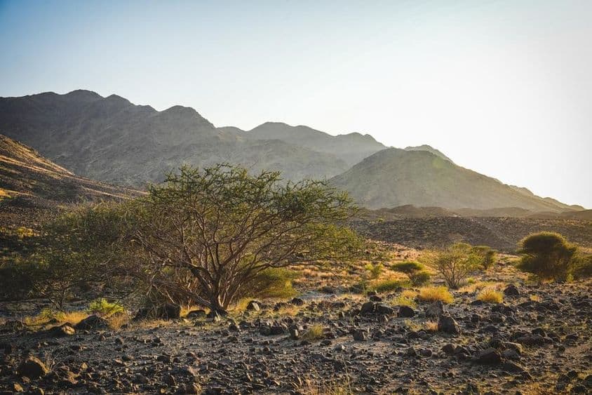 Drsný terén Waadi Shawka v Ras Al Khaimah so skalnatými cestičkami.