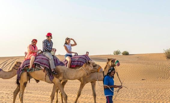 Turisti na jazde na ťavách v dubajskej púšti.