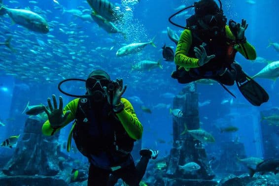 Veľké akvárium v hoteli Atlantis v Dubaji, Spojené arabské emiráty.