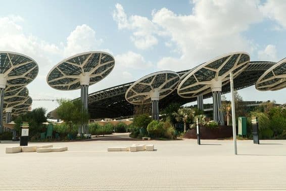 EXPO CITY DUBAI Solárne panely a vysoké štruktúry v tvare otvorených húb.