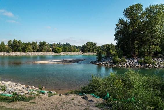Brežná rieka Bow v Calgary, Alberta, Kanada.
