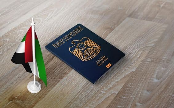 Pas Spojených arabských emirátov na drevenom povrchu s národnou vlajkou.