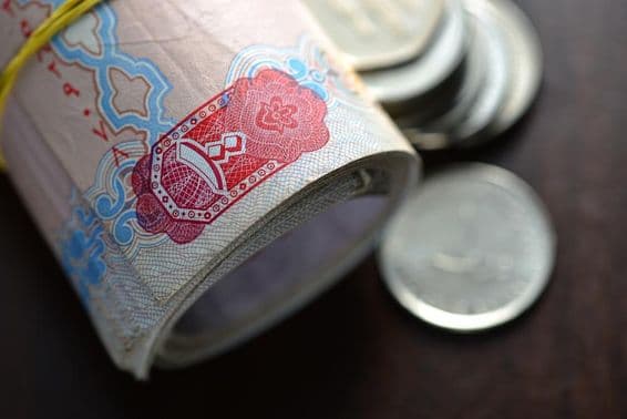 Zrolované dirhamy SAE sprevádzané niekoľkými mincami.