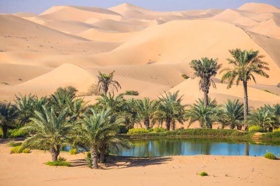 Al Ain, Abú Zabí, Spojené arabské emiráty.