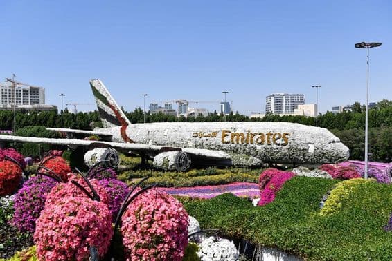 Dubai Miracle Garden počas dňa.