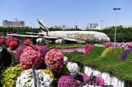 Dubajská kvetinová záhrada Miracle Garden počas dňa.