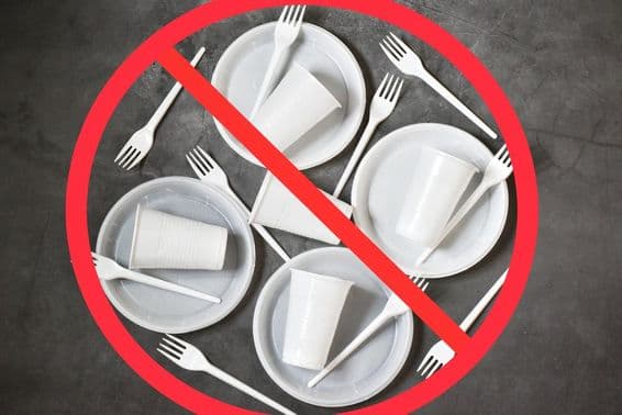 Zákaz jednorazových plastov.