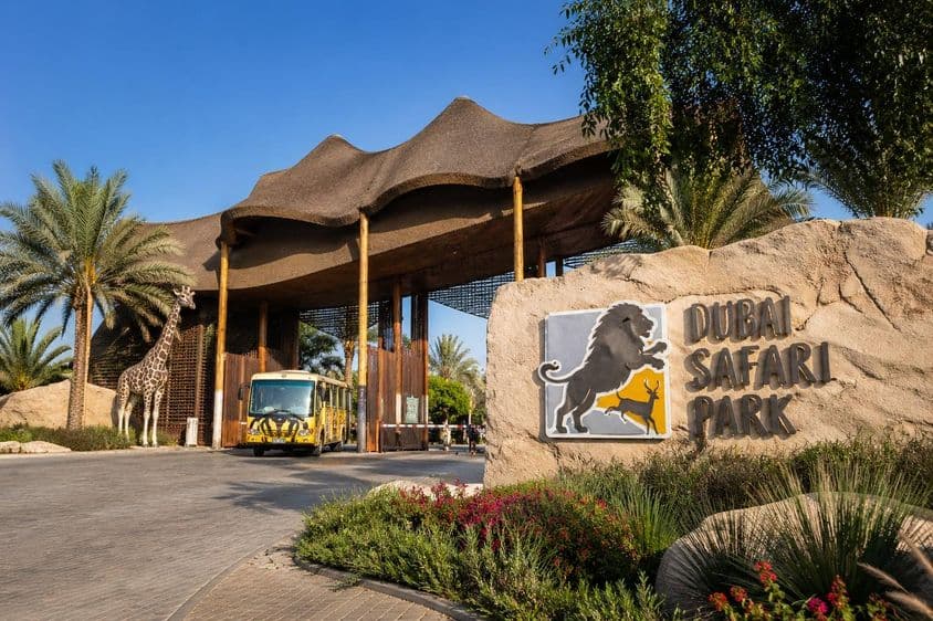 Vstup do Dubai Safari Park