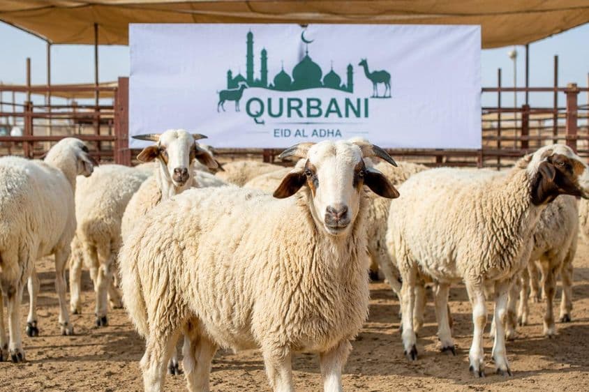 Prípravy na Kurbani v Dubaji